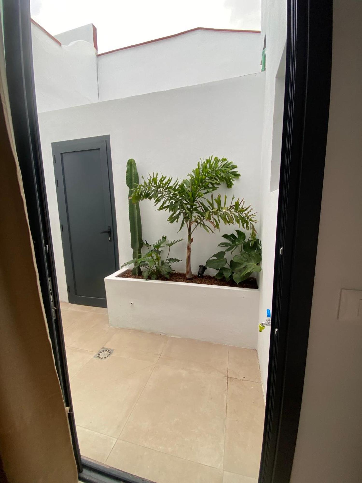 Casa Costa Apartments Bajamar  Eksteriør bilde